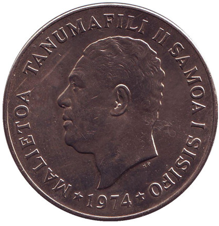 palm-12.jpg palm-12.jpg