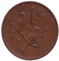 Монета 1 цент. 1980 год, ЮАР. Воробьи. Монета 1 цент. 1980 год, ЮАР. Воробьи.