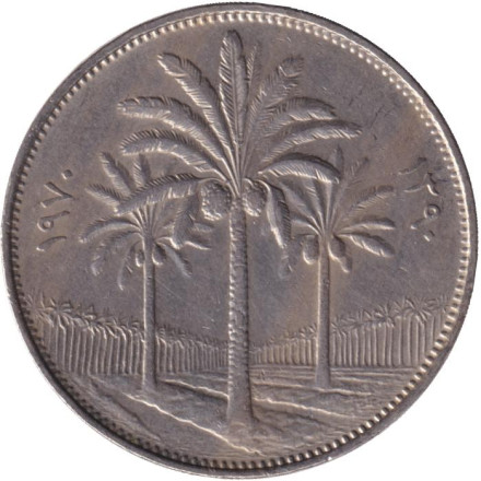 Монета 100 филсов. 1970 год. Ирак.