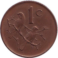 Монета 1 цент. 1975 год, ЮАР. Воробьи. Монета 1 цент. 1975 год, ЮАР. Воробьи.