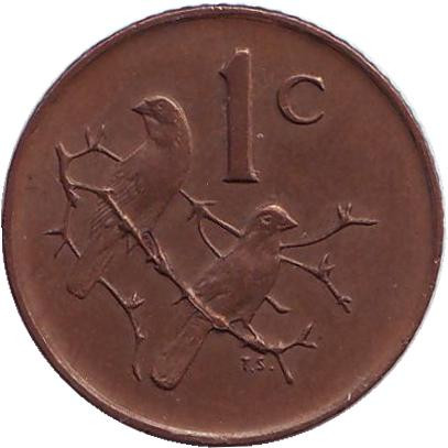 Монета 1 цент. 1975 год, ЮАР. Воробьи.