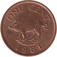 Монета 1 цент. 1981 год, Бермудские острова. Поросенок.