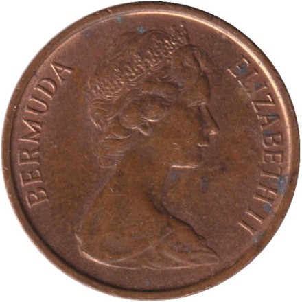 Монета 1 цент. 1981 год, Бермудские острова. Поросенок.