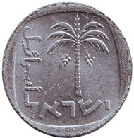 Монета 10 агор. 1979 год, Израиль. Пальма. Монета 10 агор. 1979 год, Израиль. Пальма.
