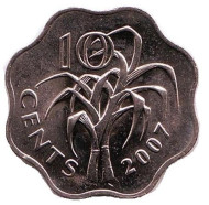 Монета 10 центов, 2007 год, Свазиленд. Сахарный тростник. Монета 10 центов, 2007 год, Свазиленд. Сахарный тростник.