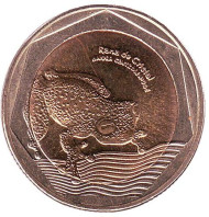 Монета 500 песо. 2012 год, Колумбия. Стеклянная лягушка. Монета 500 песо. 2012 год, Колумбия. Стеклянная лягушка.