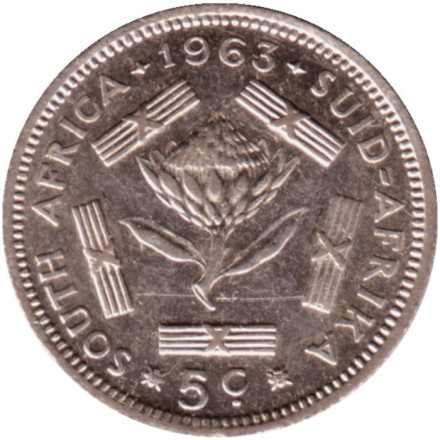 Монета 5 центов. 1963 год, ЮАР.
