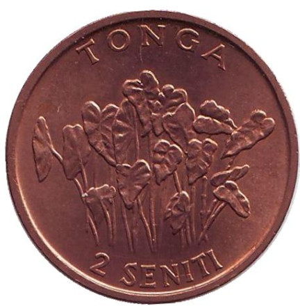 Монета 2 сенити. 1981 год, Тонга. Растение.
