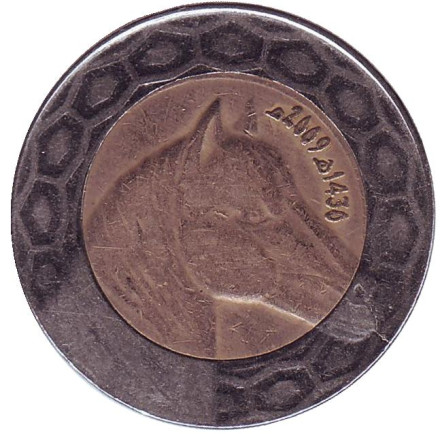 Монета 100 динаров. 2009 год, Алжир. Лошадь.