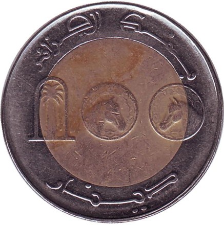 Монета 100 динаров. 2009 год, Алжир. Лошадь.