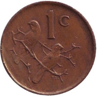 Монета 1 цент. 1983 год, ЮАР. Воробьи. Монета 1 цент. 1983 год, ЮАР. Воробьи.