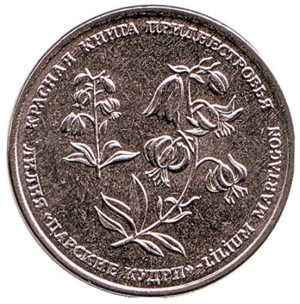 Монета 1 рубль. 2019 год, Приднестровье. Лилия "Царские кудри".