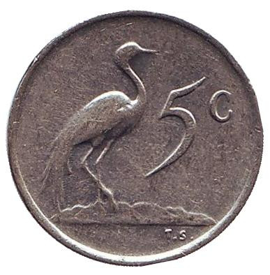 Монета 5 центов. 1969 год, Южная Африка. (South Africa). Африканская красавка.