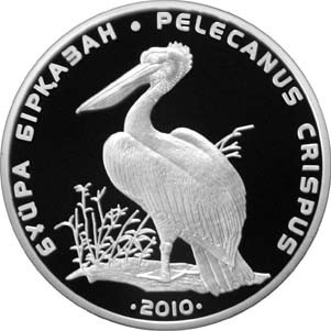 Pelican500-rev.jpg
