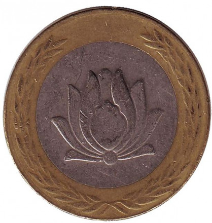 1995-2hx.jpg 1995-2hx.jpg