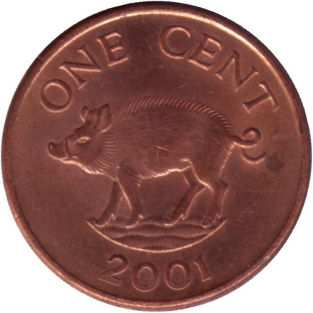 Монета 1 цент. 2001 год, Бермудские острова. Поросенок.