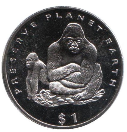 gorilla-1.jpg gorilla-1.jpg