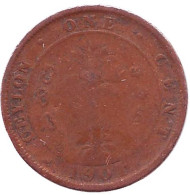 Монета 1 цент. 1901 год, Цейлон. Монета 1 цент. 1901 год, Цейлон.