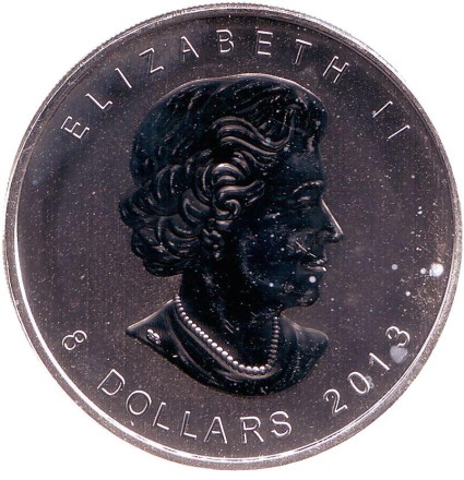 bear-12.jpg bear-12.jpg