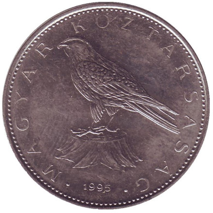 Монета 50 форинтов. 1995 год, Венгрия. Сокол (Балобан).