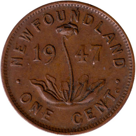 Монета 1 цент. 1947 год, Ньюфаундленд. (Канада). Саррацения.