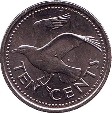 Монета 10 центов. 2012 год, Барбадос. Чайка.