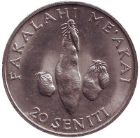 Три клубня батата. Монета 20 сенити. 1981 год, Тонга.
