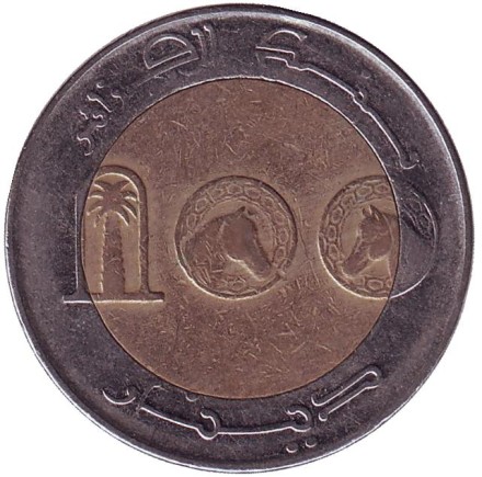 Монета 100 динаров. 2010 год, Алжир. Лошадь.