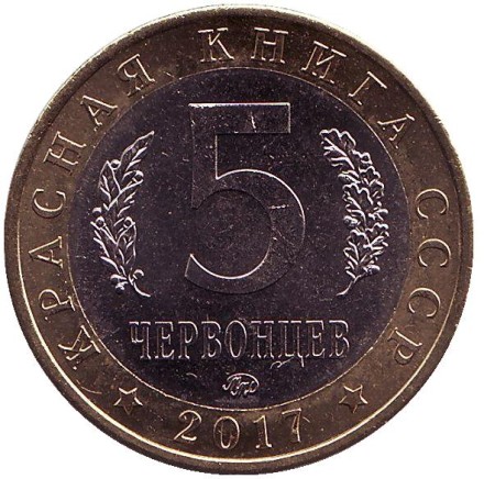 Каракал. Монетовидный жетон. 5 червонцев, 2017 год. ММД.  Каракал. Монетовидный жетон. 5 червонцев, 2017 год. ММД.