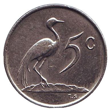 Монета 5 центов. 1969 год, Южная Африка. (Suid Afrika). Африканская красавка.