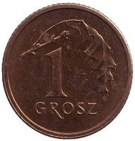 Монета 1 грош, 2003 год, Польша. Дубовый лист. Монета 1 грош, 2003 год, Польша. Дубовый лист.