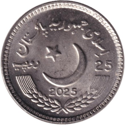Монета 25 рупий. 2025 год, Пакистан. 25 лет Национальной базе данных и Регистрационного органа. Монета 25 рупий. 2025 год, Пакистан. 25 лет Национальной базе данных и Регистрационного органа.