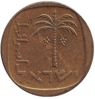 Монета 10 агор. 1974 год, Израиль. Пальма. Монета 10 агор. 1974 год, Израиль. Пальма.