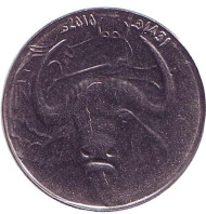 Монета 1 динар. 2010 год, Алжир. Африканский буйвол. Монета 1 динар. 2010 год, Алжир. Африканский буйвол.