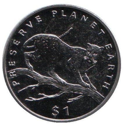 sleopard-1.jpg sleopard-1.jpg