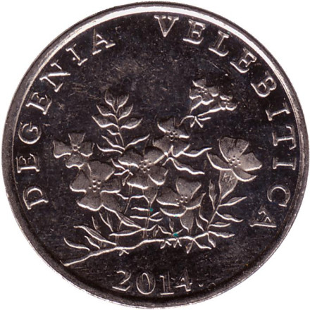 Монета 50 лип. 2014 год, Хорватия. Дегения велебитская.