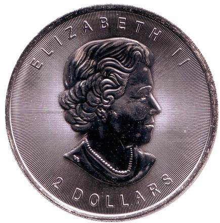 wolf-12.jpg wolf-12.jpg