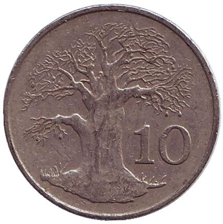 Монета 10 центов. 1980 год, Зимбабве. Баобаб.
