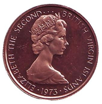 Монета 1 цент. 1973 год, Британские Виргинские острова. Колибри.