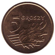 Монета 5 грошей. 2007 год, Польша. Дубовые листья. Монета 5 грошей. 2007 год, Польша. Дубовые листья.
