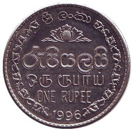 Монета 1 рупия. 1996 год, Шри-Ланка. Монета 1 рупия. 1996 год, Шри-Ланка.