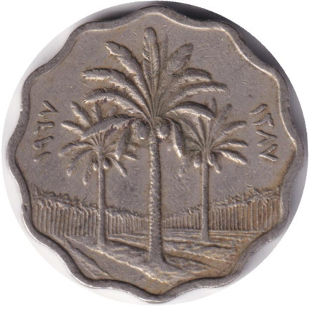 Монета 5 филсов. 1967 год, Ирак. Пальмы.