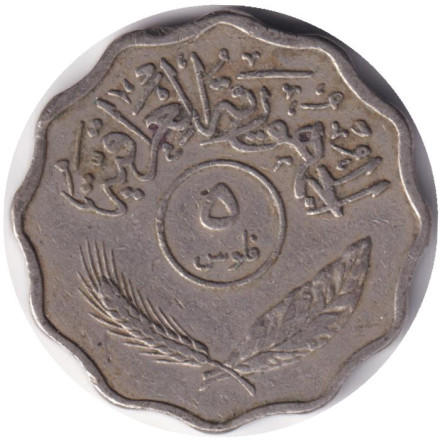 Монета 5 филсов. 1967 год, Ирак. Пальмы.