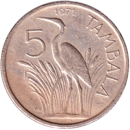 Монета 5 тамбал, 1971 год, Малави. Цапля.