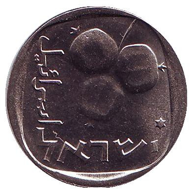 Монета 5 агор. 1977 год, Израиль. Редкая. (Звезда Давида) Гранат.