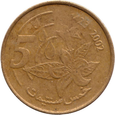 Монета 5 сантимов. 2002 год, Марокко. Из обращения.