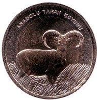 Монета 1 лира. 2015 год, Турция. Дикий баран. Монета 1 лира. 2015 год, Турция. Дикий баран.