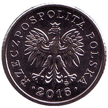 Монета 10 грошей. 2016 год, Польша.