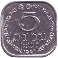 Монета 5 центов. 1991 год, Шри-Ланка. Монета 5 центов. 1991 год, Шри-Ланка.