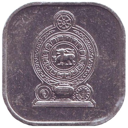 Монета 5 центов. 1991 год, Шри-Ланка.
